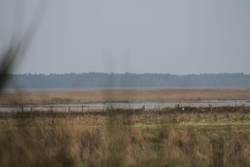 Blick von der Halbinsel Bresewitz in Richtung Zingst Februar 2025